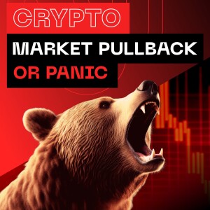 Crypto Market Pullback or Panic