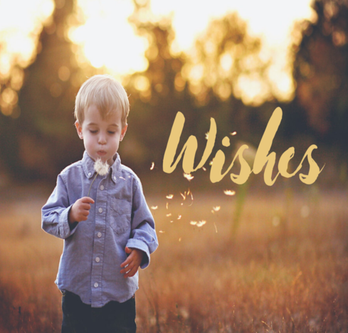 Wishes