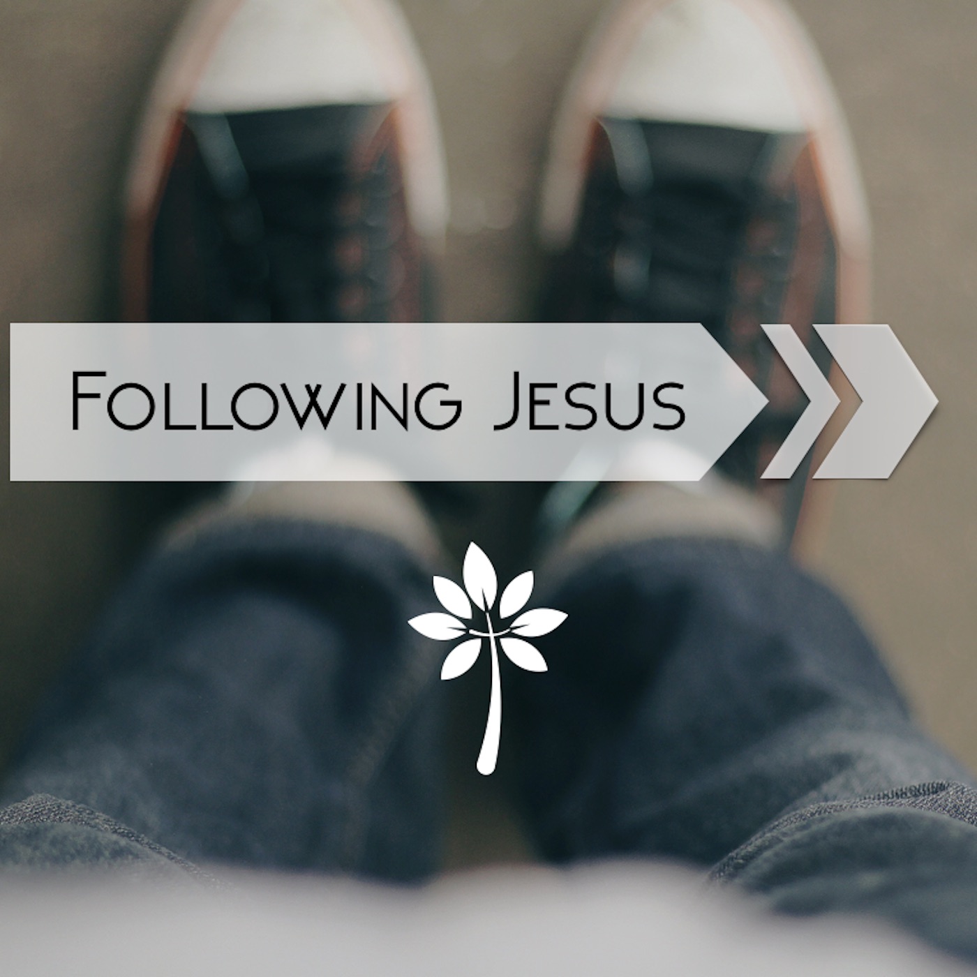 Following Jesus: Follow Me
