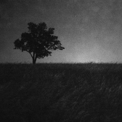 Film Photography Podcast