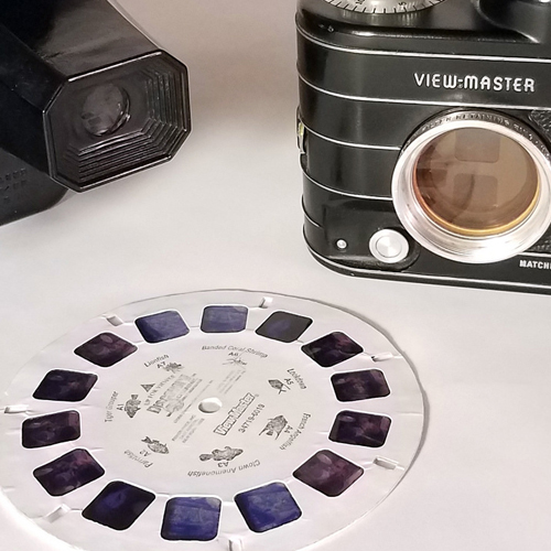 Film Photography Podcast