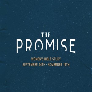 The Promise Part 1 | Week 7 | PM with Suzanne Walker