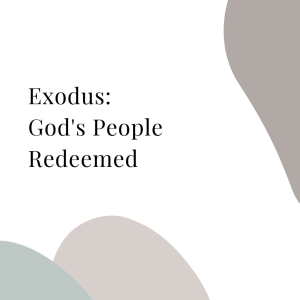 Exodus: God’s People Redeemed | Week 2 | With Summer Lacy
