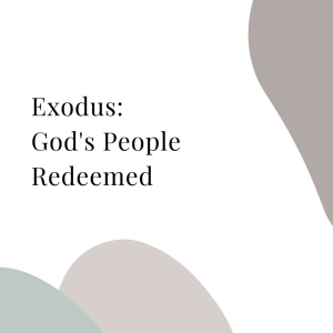 Exodus: God’s People Redeemed | Week 9 | With Suzanne Walker, Christi Davis, and Helen Wallenburger