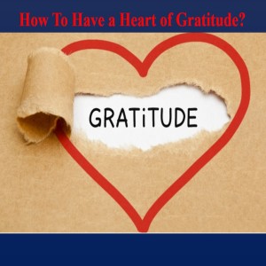 How to Have a Heart of Gratitude