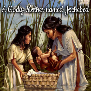 A Godly Mother named Jochebed