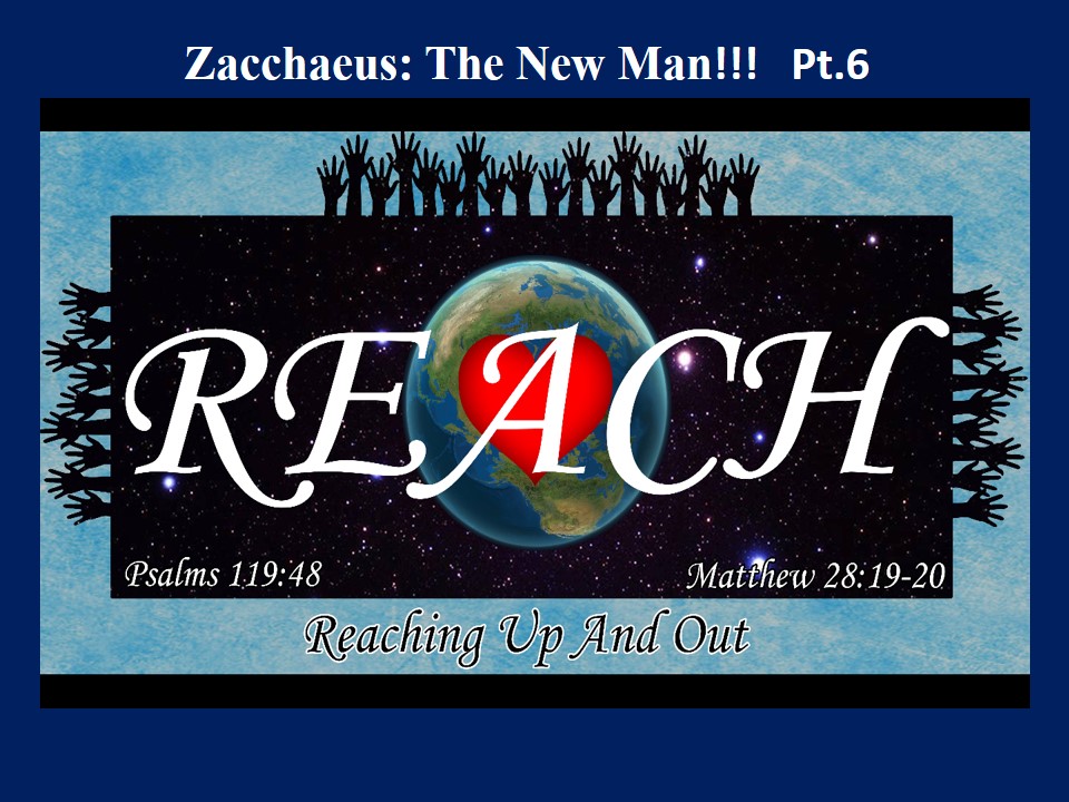 Reaching Up and Out Part 6: Zacchacus: The New Man!!!