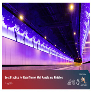 Best Practice for Road Tunnel Wall Panels and Finishes