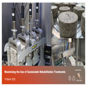 Maximising the Use of Sustainable Rehabilitation Treatments