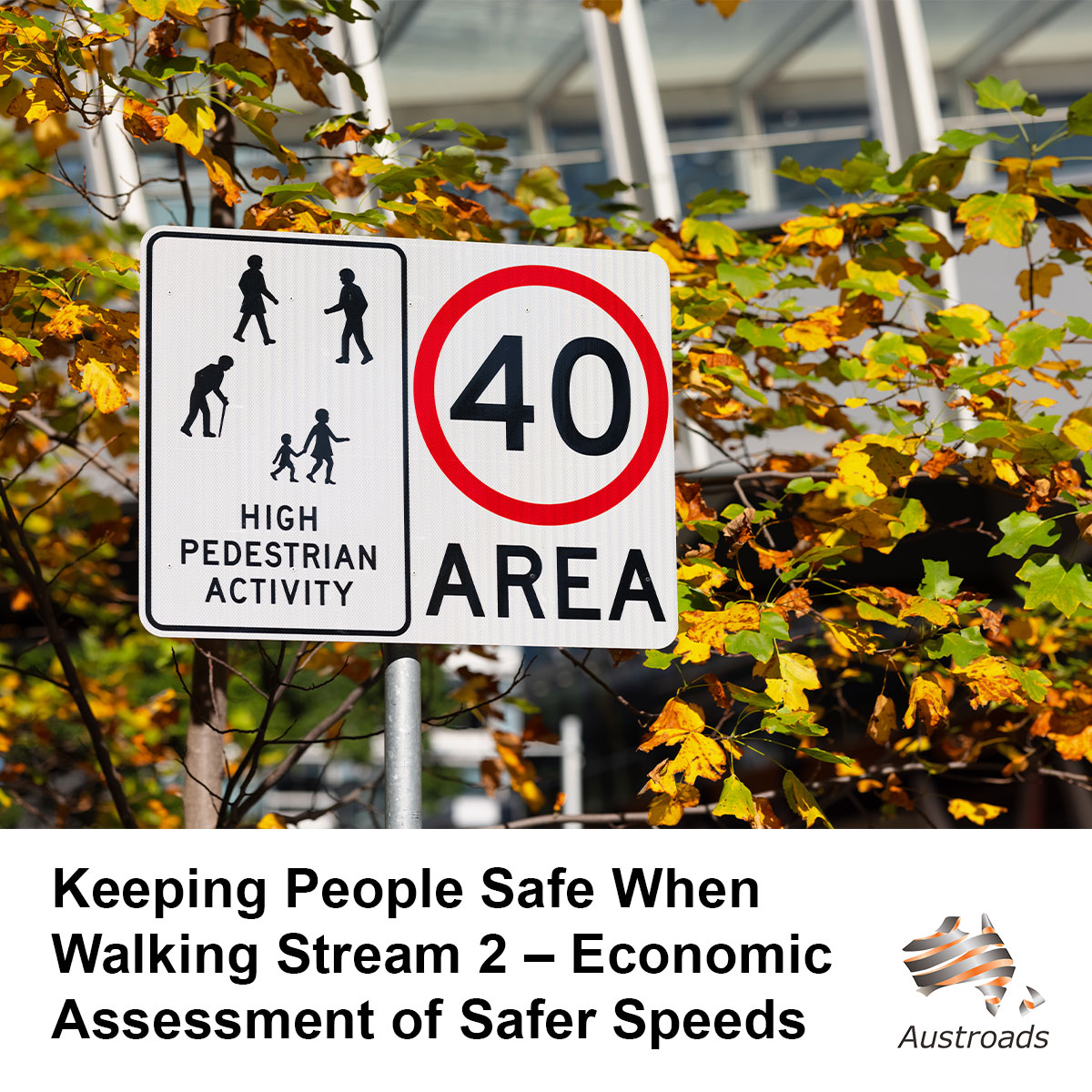 Keeping People Safe When Walking Stream 2 – Economic Assessment of Safer Speeds