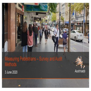 Measuring Pedestrians: Survey and Audit Methods