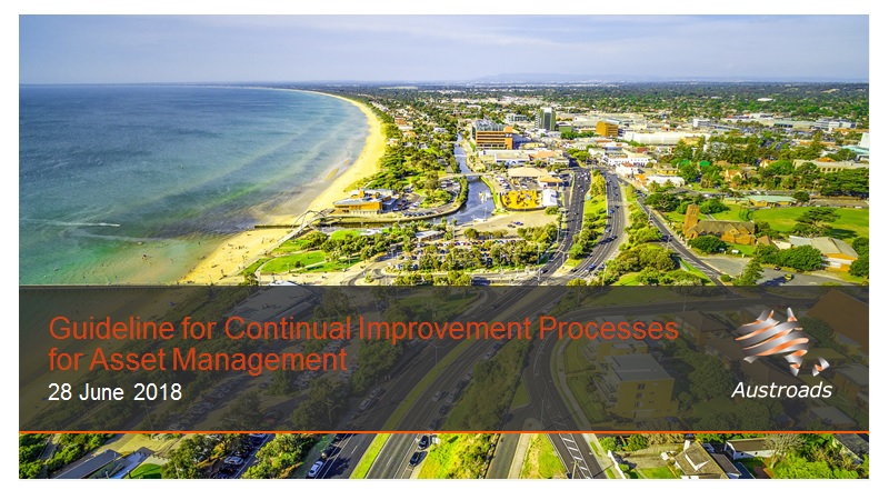 Guideline for Continual Improvement Processes for Asset Management