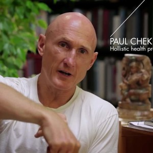 Chek Life Process Alchemy 4 Health and Performance | Paul Chek