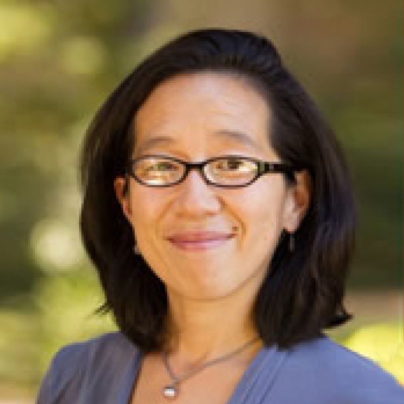 The Women Scholars and Professionals Podcast