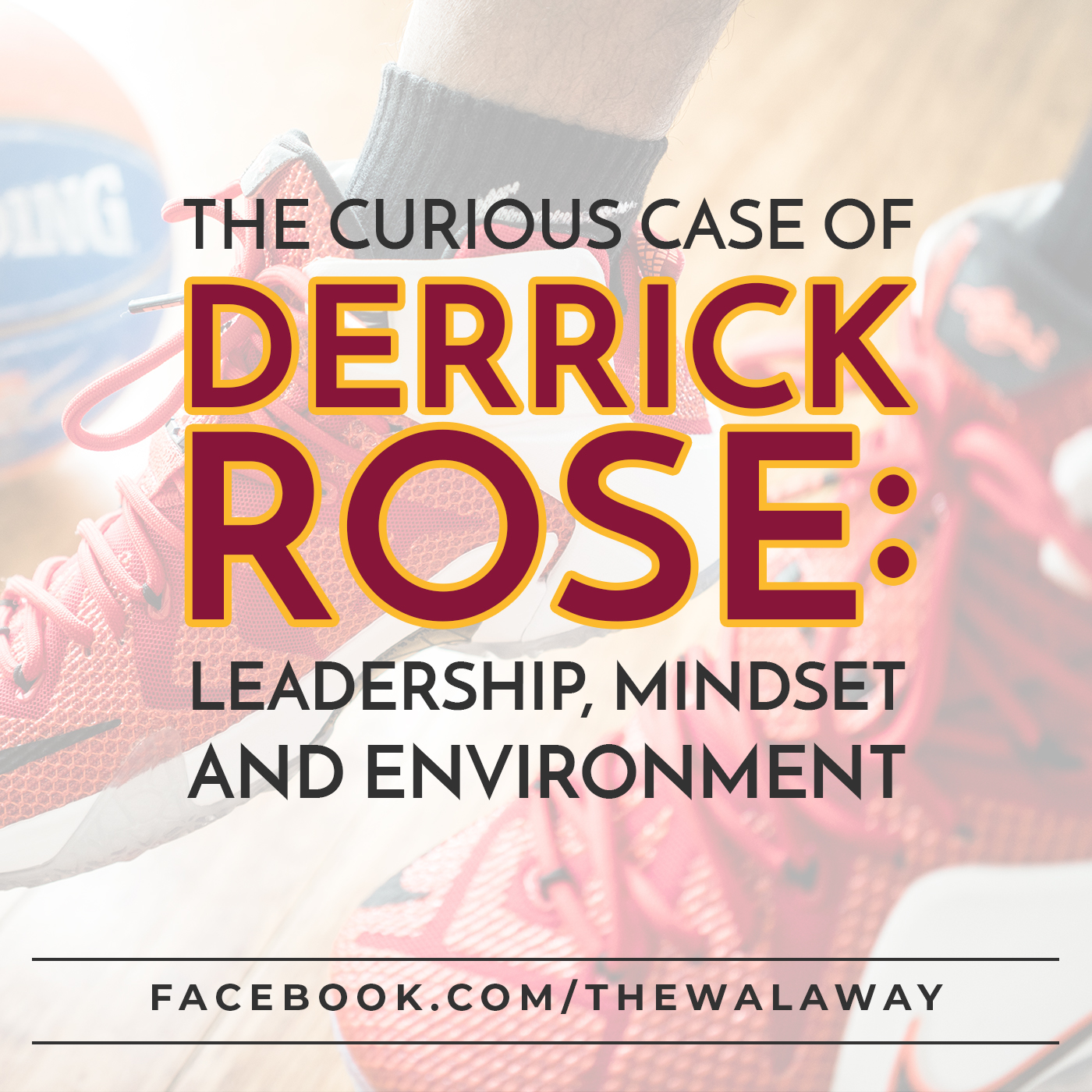#004 - The Curious Case of Derrick Rose: Leadership, Mindset and Environment