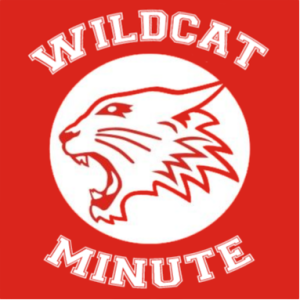 Wildcat Minute 3 #64: Troy = Roy