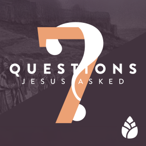 Why are you afraid, oh you of little faith?/ 7 Questions Jesus Asked / Pastor Bartley Sawatsky