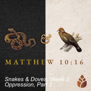 Snakes & Doves, Week 2: Oppression, Part 2