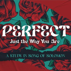 [Willow] Perfect: Just the Way You Are |2| 