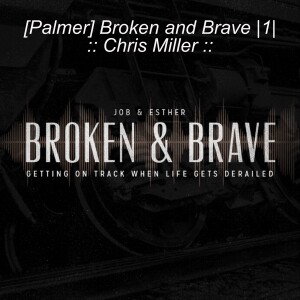 [Palmer] Broken and Brave |1|  :: Chris Miller ::