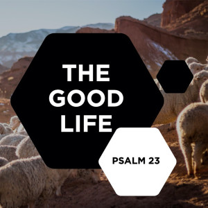 The Good Life |3| "Good Luck, Bad Luck" :: Jonathan Walker [ALL CAMPUS]