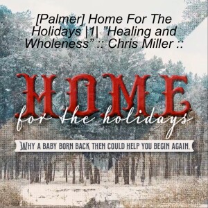 [Palmer] Home For The Holidays |1| ”Healing and Wholeness” :: Chris Miller ::