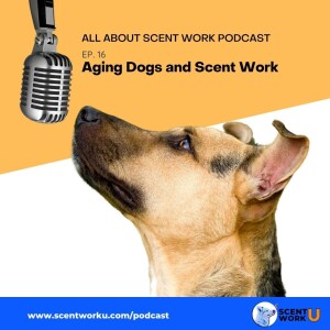 Aging Dogs and Scent Work