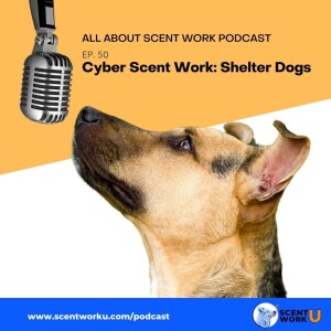 Cyber Scent Work: Shelter Dogs