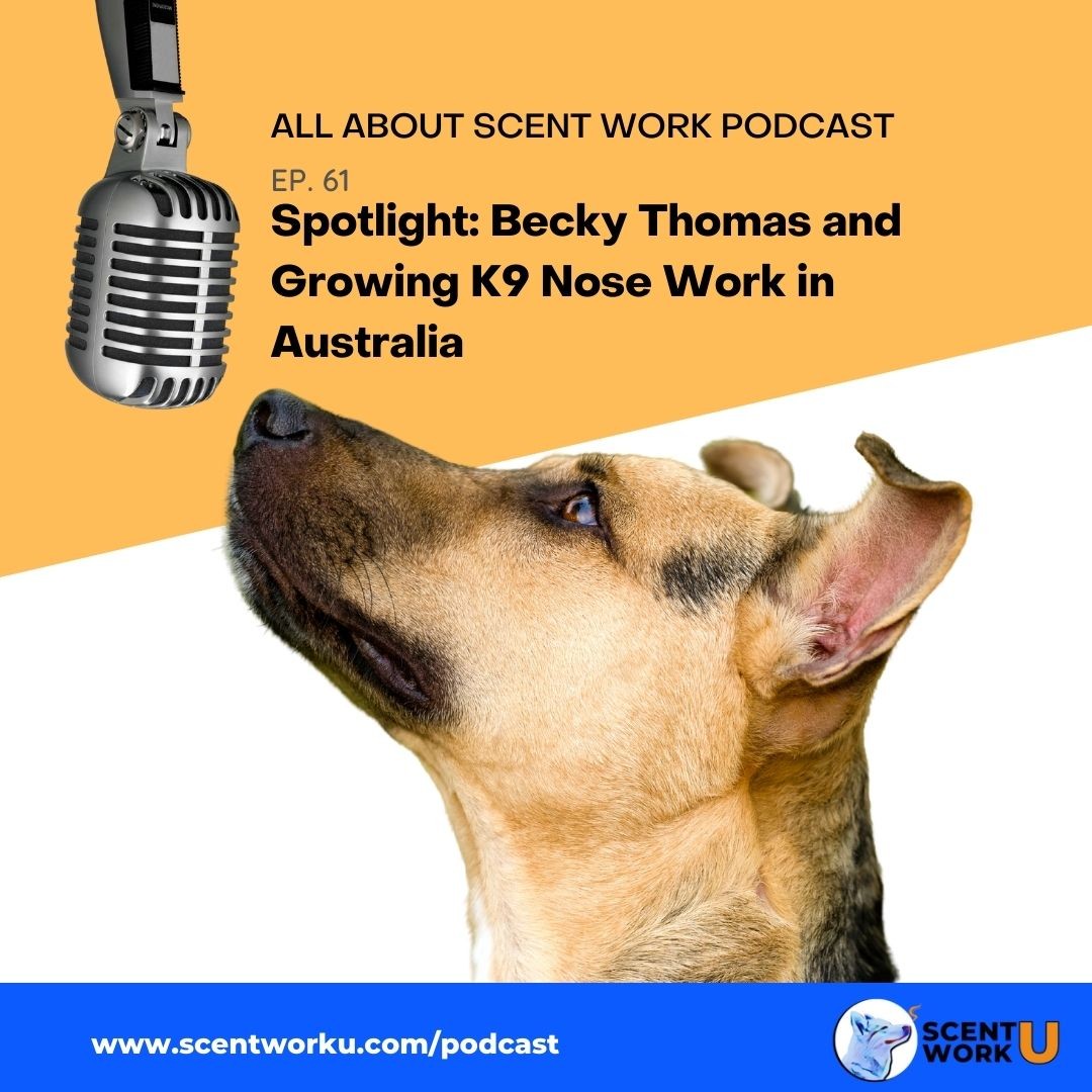 All About Scent Work Podcast