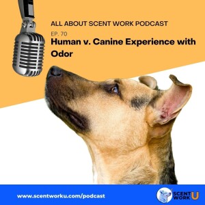 Human v. Canine Experience with Odor