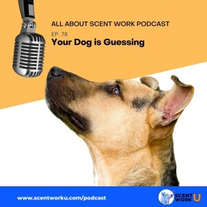 Your Dog is Guessing