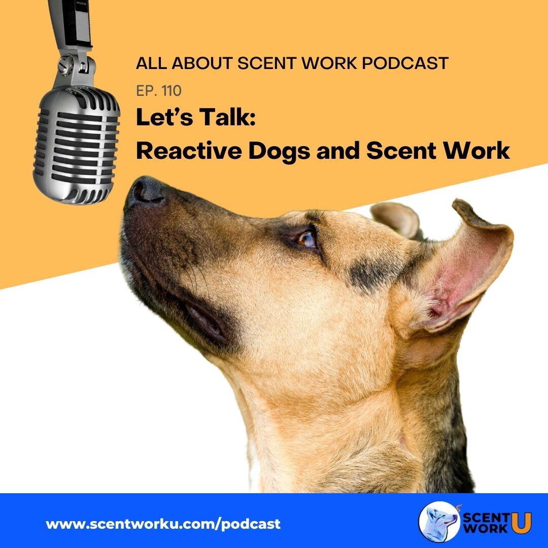 Let's Talk Reactive Dogs and Scent Work