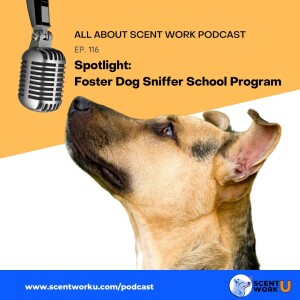 Spotlight: Foster Dog Sniffer School