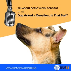 Dog Asked a Question...Is That Bad?