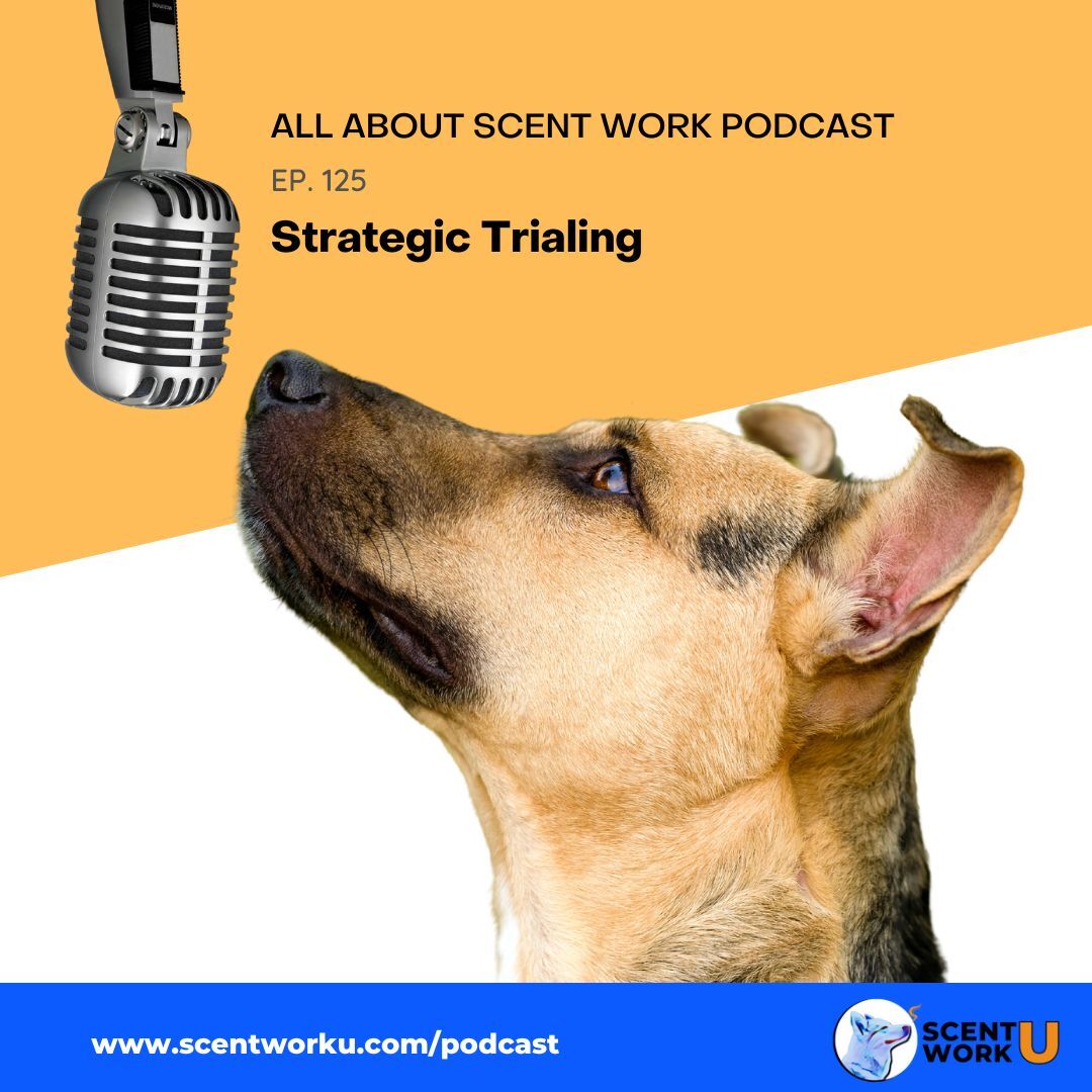 All About Scent Work Podcast