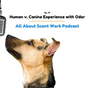 Human v. Canine Experience with Odor