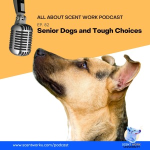 Senior Dogs and Tough Choices