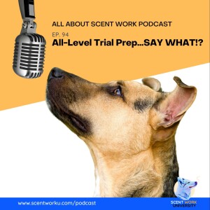 All-Level Trial Prep...SAY WHAT?!