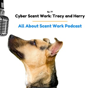 Cyber Scent Work: Tracy and Harry