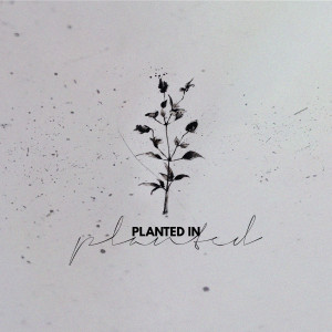 Planted In