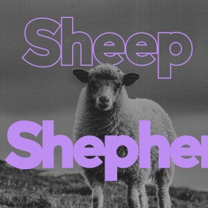 Sheep and Shepherds (Part 2) | Symon Drake