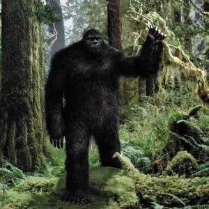 Episode 60 - Bigfoot Conference Roundup