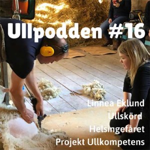 #16/2020 Ullskörd, Linnea Eklund och Ullkompetens