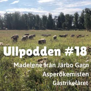 #18/2021 Järbo garn, Asperökemisten och Gestrikefåret