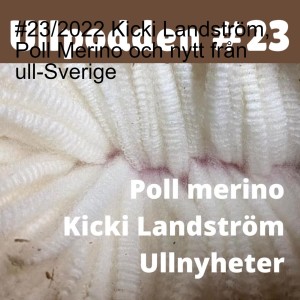 #23/2022 Kicki Landström, Poll Merino och nytt från ull-Sverige