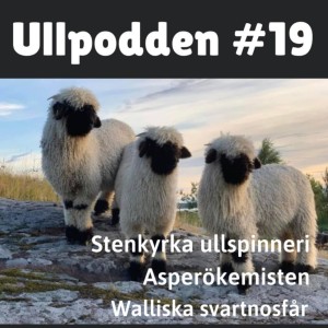 #19/2021 Stenkyrka ullspinneri, Ullpoddengarnet och Walliska svarnosfåret