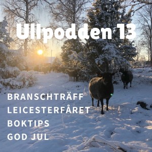 #13/2019 Branchträff om ull, Leicesterfåret och boktips till jul