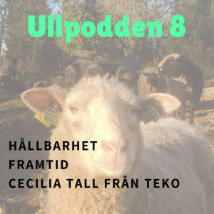 #8/2019 Hållbarhet, framtid och Cecilia Tall från Teko