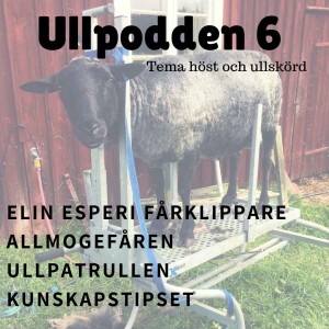 #6/2018 Fårklippare Elin Esperi, tema höst och ullskörd och allmogefåren 