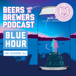 Blue Hour Tart Blueberry Ale